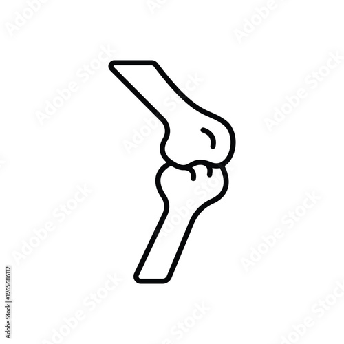 Bones Skeleton Anatomy Line Icon: Human Body Structure