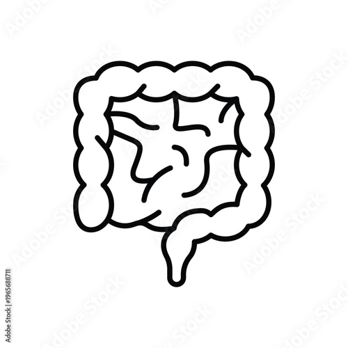 Intestine Bowel Digestion Line Icon: Human Internal Organ