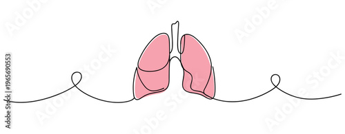 Human lungs anatomical illustration centered on white background. no editable strokes