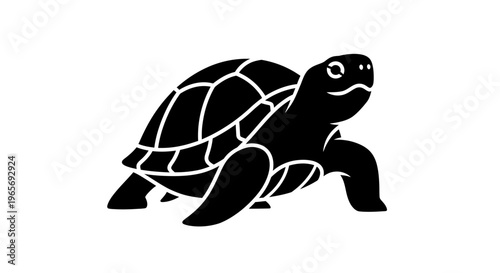 A black turtle silhouette on a white background Abstrack background
