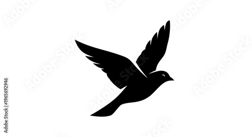 A black silhouette of a bird in flight against a white background Abstrack background