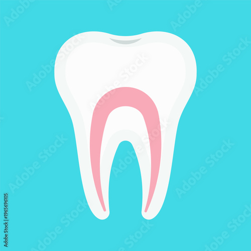 Flat Colorful Dental Care and Oral Hygiene Tools Illustration Set