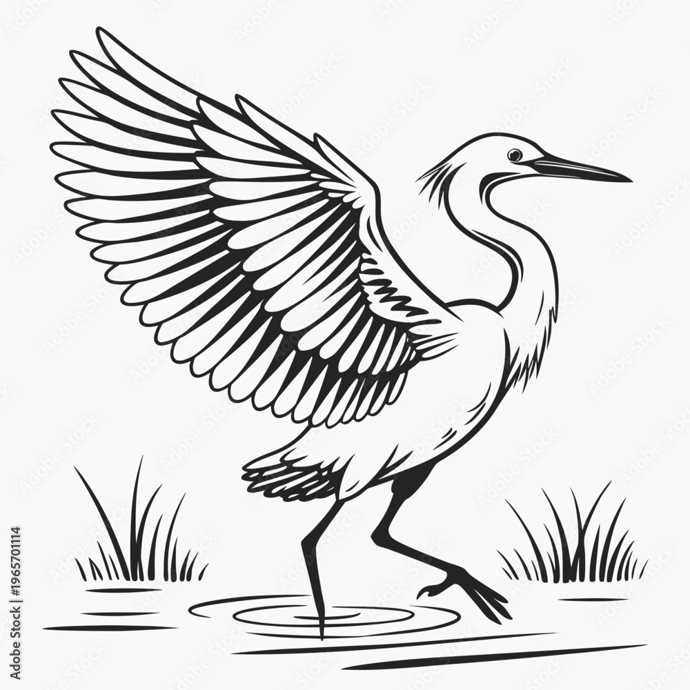 Fototapeta premium Black and white illustration of a heron standing in water with wings spread wide in a natural setting