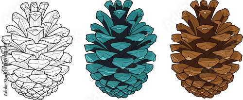 Set of Three Detailed Pine Cone Illustrations Featuring White Line Art Teal Blue and Natural Brown Variations for Seasonal Forest Designs
