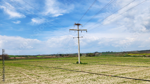 A reinforced concrete electricity pole with a stork nest and a stork on top, set in a mediterranean rural landscape on a spring day