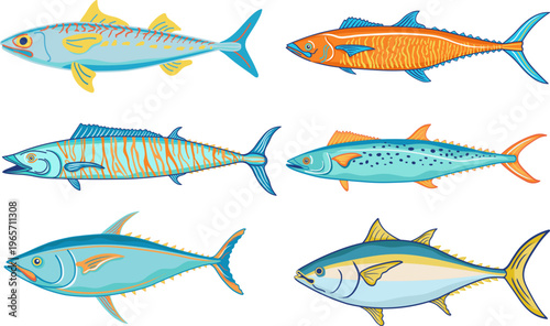 Vector Animal Ocean, Coastal, under water drawings. Hand drawn illustration of tuna, mackerel, colourful, Graphic background elements. 
