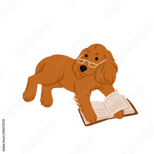 Cocker Spaniel lover set with cute dogs, puppy characters sleeping, playing with toy and reading book. Flat vector illustration of pet breed collection isolated on background