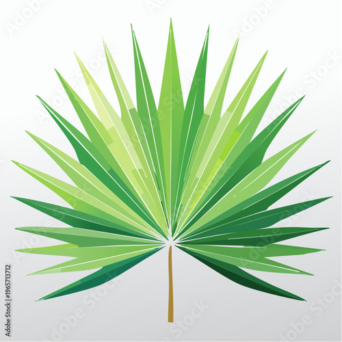 Vibrant green palm leaf illustration with a clean and modern aesthetic
