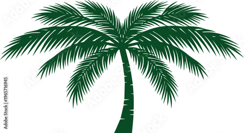 Lush green palm tree vector illustration, tropical island plant graphic, exotic summer vacation design element, vibrant nature foliage for travel and leisure projects