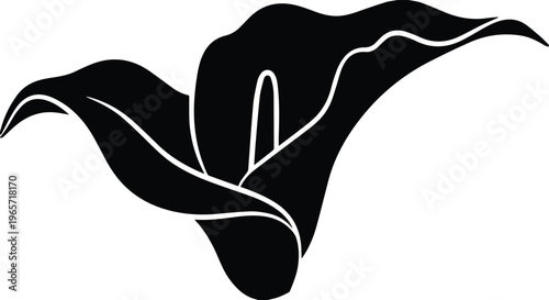Elegant black calla lily vector illustration, a minimalist floral design, sophisticated flower graphic for wedding invitations and decorative elements, botanical silhouette artwork.