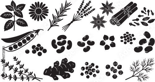 Minimal Black Silhouette Vector of Beans, Spices, Medicinal Herbs, and Peas
