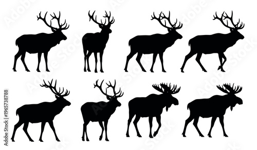 Foto Collection of eight black silhouette deer with antlers on white background illus
