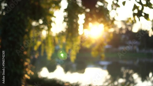 Golden sunrise over river casting light behind tree tropical Asia morning vibe HD