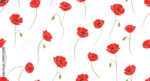 Seamless pattern of red poppies flowers with green stems and buds on white background, nature and floral design, spring or summer.