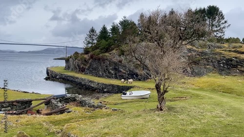 Beautiful landscape with sheep and lambs in the distance 