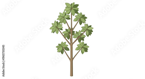 Gemini said

A single green tree branch with lush leaves grows against a clean white background as a beautiful botanical plant object for nature photography