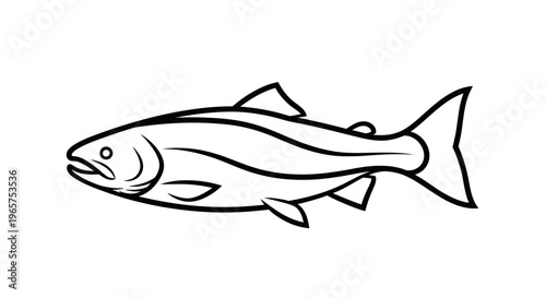 Simple black and white outline drawing of a fish. Graphic vector illustration of an aquatic animal, ideal for icons or design elements.