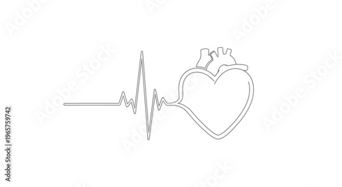 Human heart organ with electrocardiogram heartbeat line in minimalist line art, isolated white background.