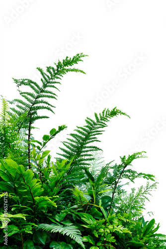 background, this seamless pattern of green palm