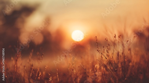 Golden Sunrise Over Misty Meadow Grass Fields with Soft Bokeh Background.