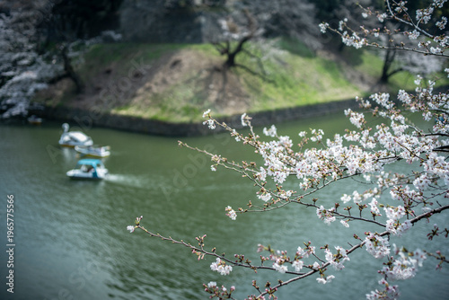 春の九段下　田安門付近の風景　3月