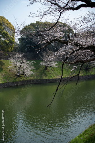 春の九段下　田安門付近の風景　3月