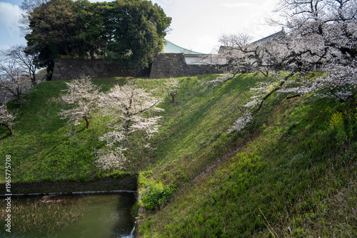 春の九段下　田安門付近の風景　3月