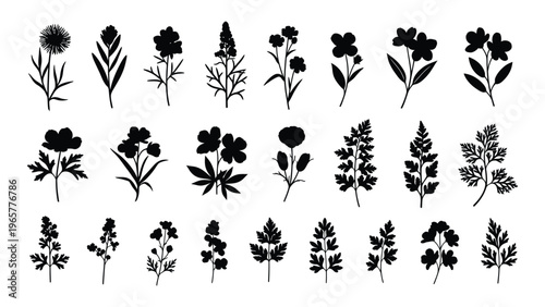 A collection of diverse floral arrangements and botanical illustrations presented in a striking black silhouette high quality professional detailed