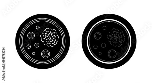 Vector illustration of petri dishes with bacterial colonies and microbial growth icons on a transparent background