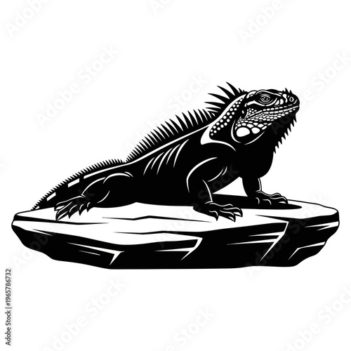 Striking Black and White Iguana Illustration on Rock Surface