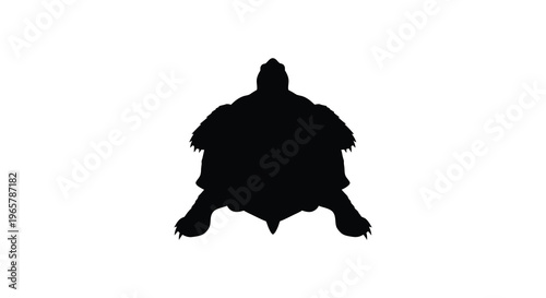 A striking black silhouette of a turtle facing forward silhouette