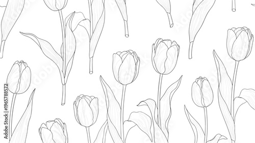 Beautiful monochrome line art illustration featuring a seamless pattern of elegant tulips with detailed petals and leaves.