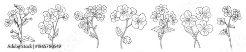 Hand drawn delicate Forget me Not, Myosotis flowers in simple sketch style. Each bloom varies in shape and cluster size.  Ideal for nature, botanical, or minimalist design use