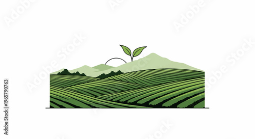 Green rolling hills with terraced fields, mountains, and a young sprout