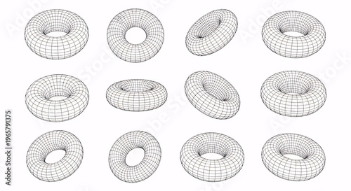 Wireframe Torus Shape Collection: 3D Geometric Models from Multiple Angles