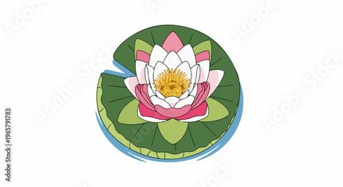 Stylized illustration of a water lily with pink and white petals on a green lily pad