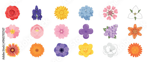 Colorful floral flowers icon set featuring dahlia orchid lotus poppy and botanical blossoms decorative outline line editable stroke spring garden