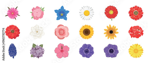 Colorful floral flowers icon set featuring dahlia orchid lotus poppy and botanical blossoms decorative outline line editable stroke spring garden