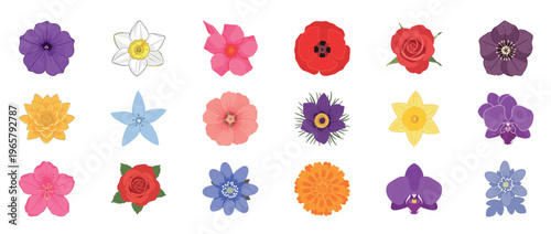 Colorful floral flowers icon set featuring dahlia orchid lotus poppy and botanical blossoms decorative outline line editable stroke spring garden