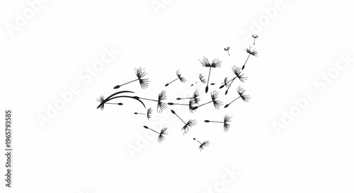 Black and white ink illustrations of dandelion seeds floating on a white background