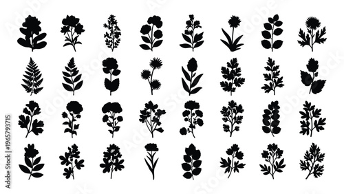 A collection of various plant and floral shapes displayed in stark black creating a botanical silhouette high quality professional
