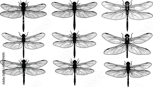 Set of dragonfly vector illustrations, vintage hand drawn sketch dragonflies icons, winged insect silhouette clipart bundle, decorative damselfly collection for nature design projects