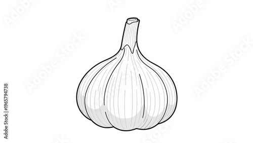 Detailed black and white line art drawing of a whole bulb of garlic with its natural skin texture and stem on a clean white background.