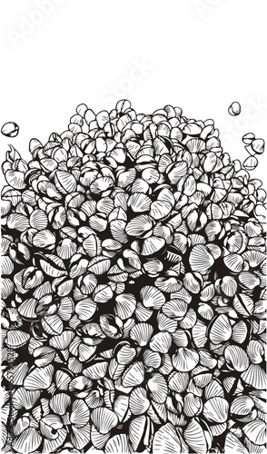 Tableau sur toile Cockle shell, black cockle shell line art, white background.