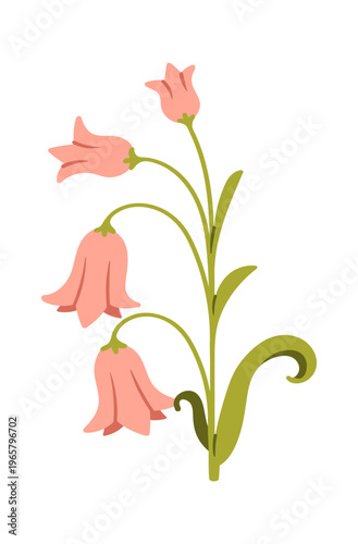 Bellflower stem with three hanging blooms and curled leaf in clean cartoon style