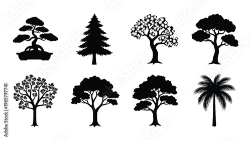 A collection of various tree types and a bonsai all depicted as striking black silhouettes high quality professional detailed