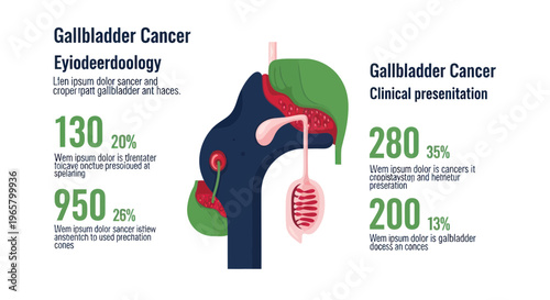 Gallbladder Cancer Medical Infographic with Anatomy and Statistics