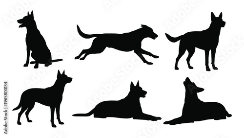 A collection of german shepherd dogs in various poses displayed as a stark black silhouette high quality professional detailed