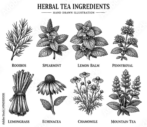 Herbal tea ingredient set chamomile echinacea lemongrass vintage
