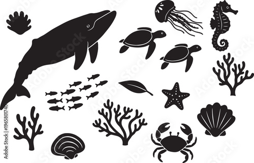 Black silhouettes of various sea creatures and plants